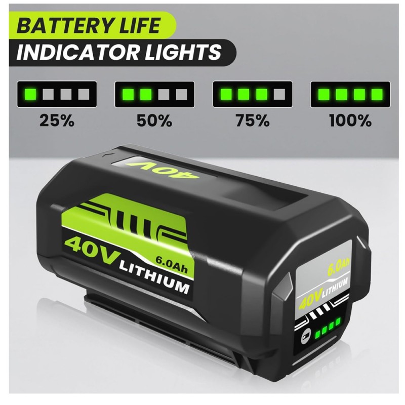                             Batteri til Ryobi RY40430 (40V, 6000mAh)                            
                                                        
                            